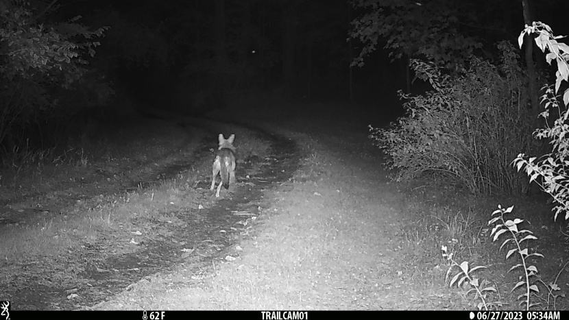 after a quick start and a big step away...