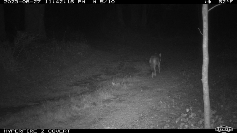 the series continues for another few frames.