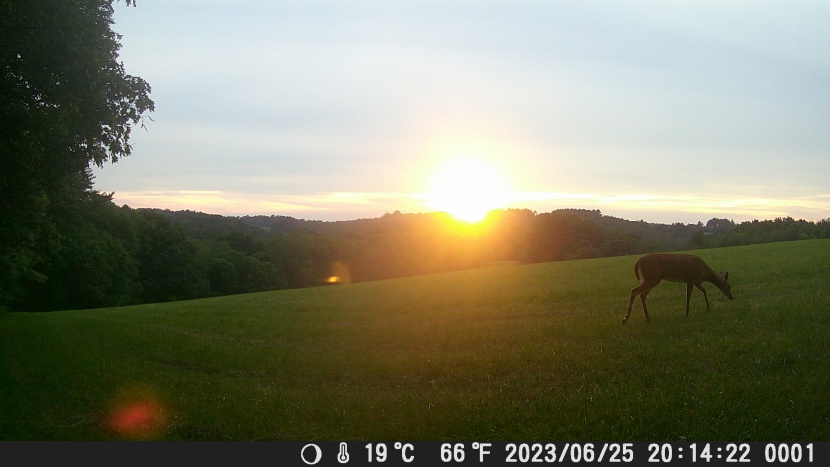 trail camera - the vikeri captured this impressive sunset in its highest setting...
