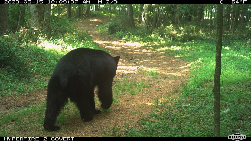 again, it captured the movements crisply and in quick succession.
