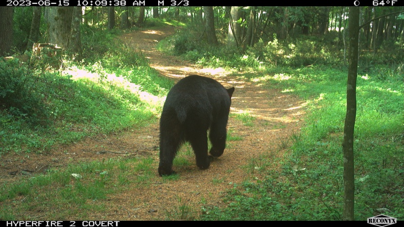 this type of detail can really help you understand an animal's habits.