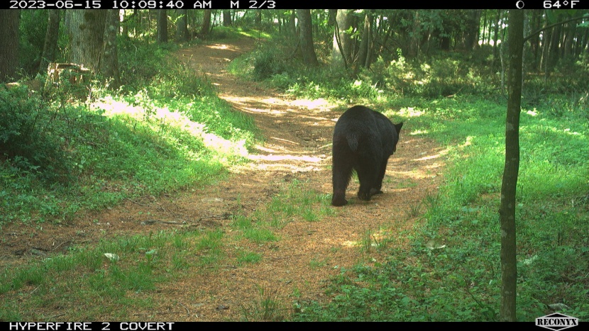 so you get another three photos in quick succession.