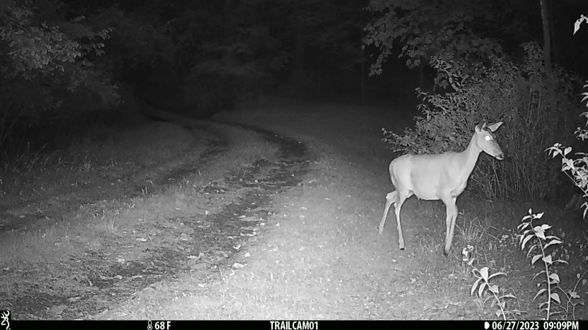 the strike force pro captured this nighttime photo in its 26mp...