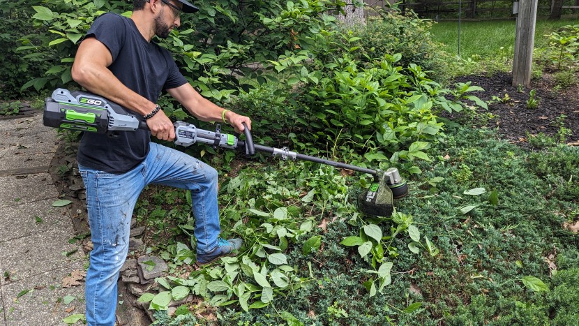 ego power+ powerload with line iq st1623t - the ego line iq mowed down these thick shoots that were cluttering...