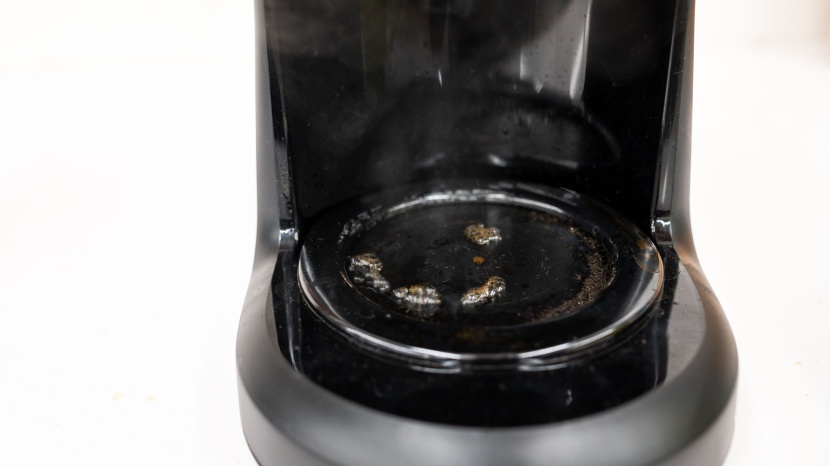 mr. coffee 5-cup mini brew - the sneak-a-cup feature tended to leak, letting drips of coffee hit...