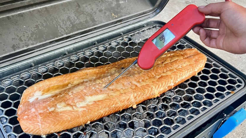 meat thermometer - from smoked salmon to steaks, no other thermometer measured quite as...