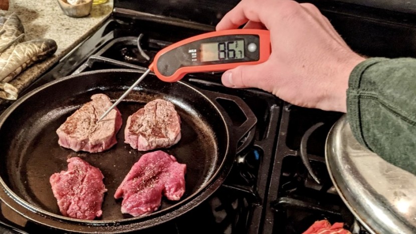 meat thermometer - the lavatools javelin is an all-around high performer that doesn&#039;t...