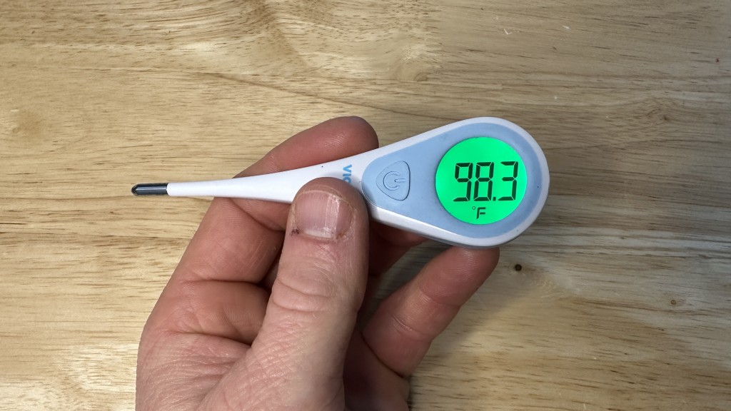 The 4 Best Thermometers Of 2023 | Tested By GearLab