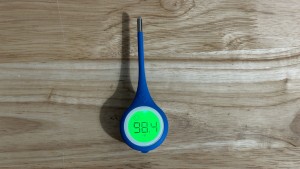 thermometer