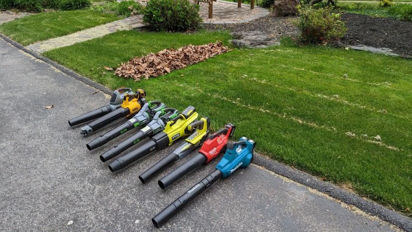 leaf blower - eight of the best leaf blowers lined up by our leaf pile, ready for...