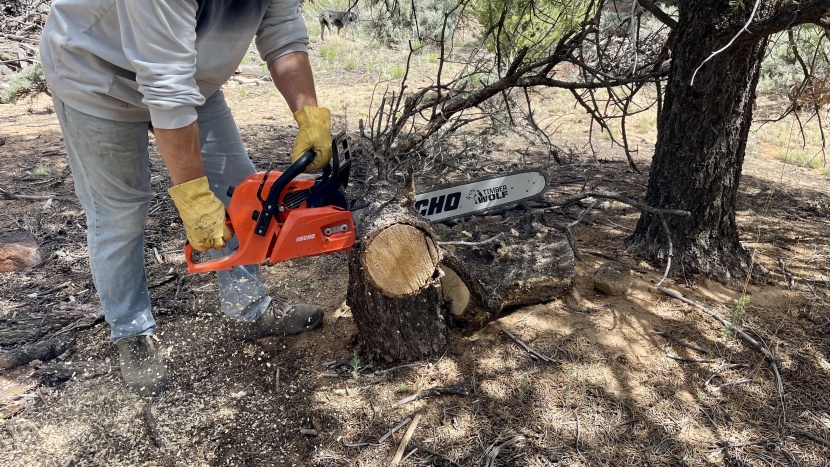 echo cs 590 - the echo cs 590 easily handled all of the jobs we threw at it on a...