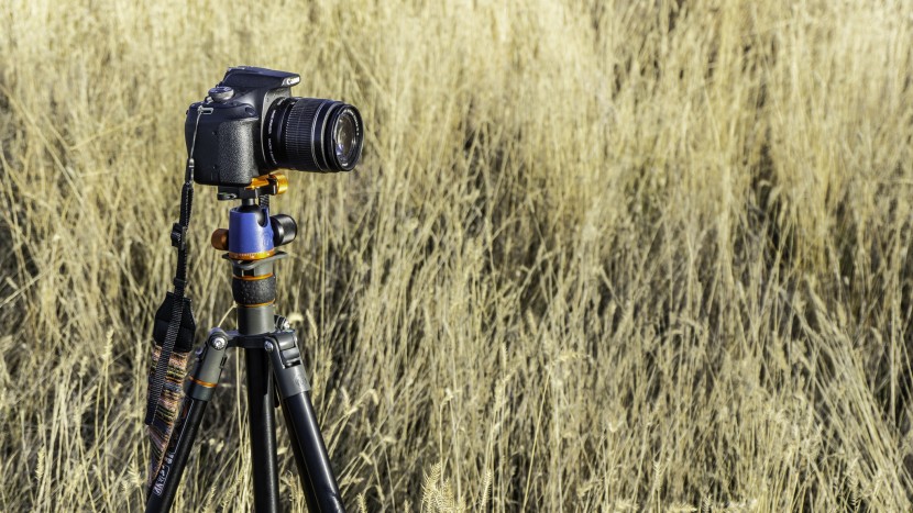 tripod - the 3 legged things punks travis tripod offers performance typically...