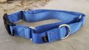 Thumbnail photo of PetSafe Martingale Quick Snap