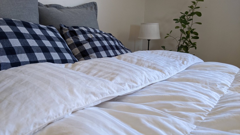 comforter - the hotel grand white goose down is warm and well-priced.