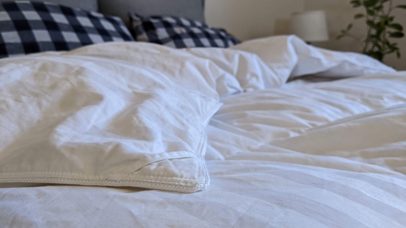 the lofty hotel grand is filled with 650 fill-power siberian white...