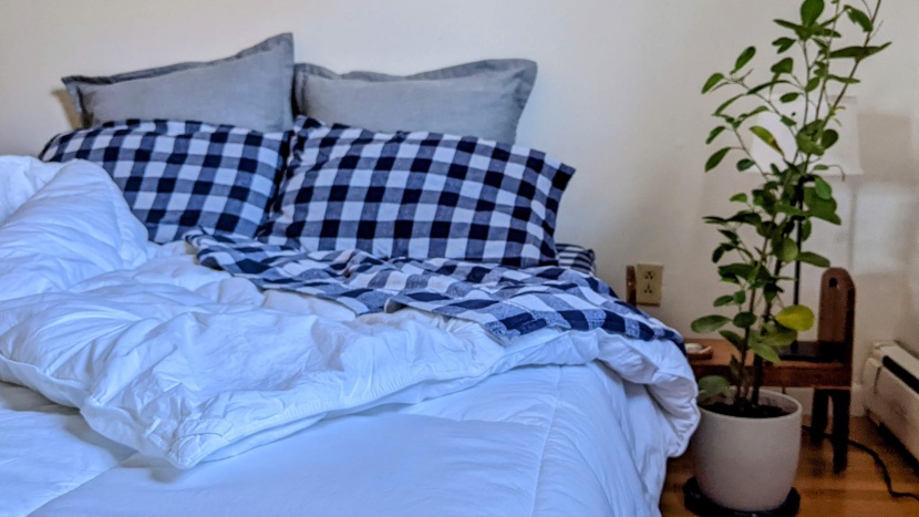 comforter - mid-range performance in the warmth ratings, like the saatva...