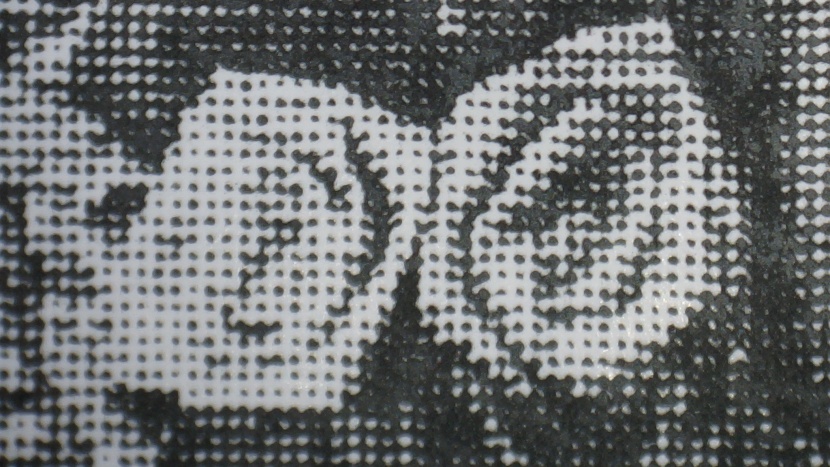 brother hl-l2300d - this black and white print is a far cry from the color original.