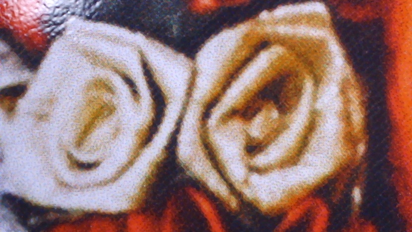 canon pixma mg3620 - while capable of printing some decent quality photos, its not the...