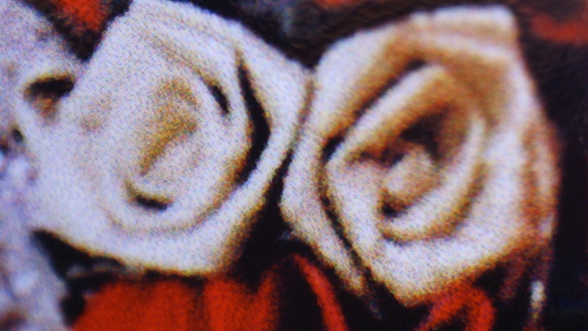 epson ecotank et-2800 - the images in our tests came out looking blurry and slightly...