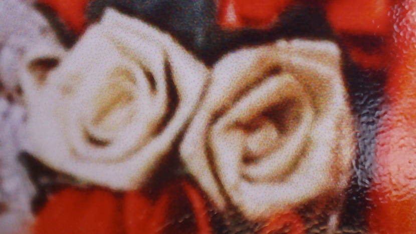 hp deskjet 2755e - though these images weren't the best of the best, the 2755e offers...