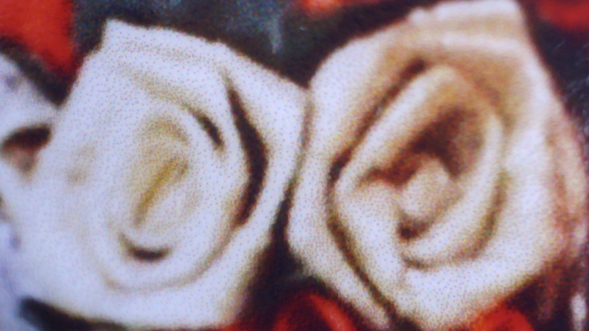 hp envy 6055e - hp envy 6055e can produce attractive prints that hold up to some...