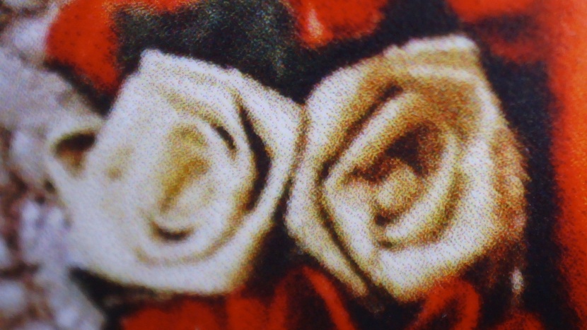 hp officejet pro 9015e - color prints also saw a loss of fine detail.