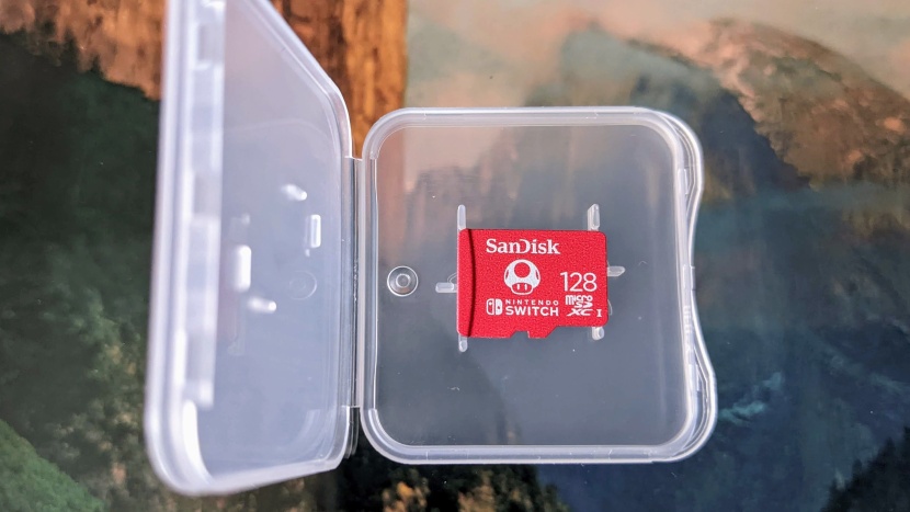 microsd card - it makes sense that a memory card made specifically for the nintendo...