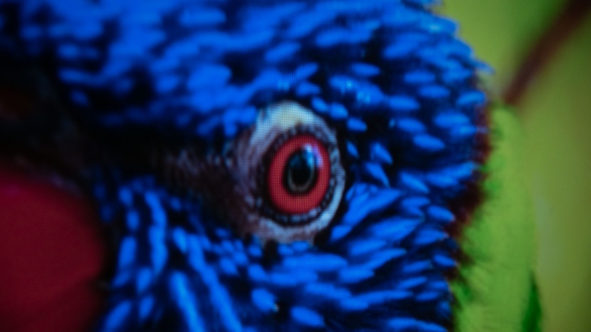 tmy mini - when it comes to color accuracy and clarity, the tmy mini does not...