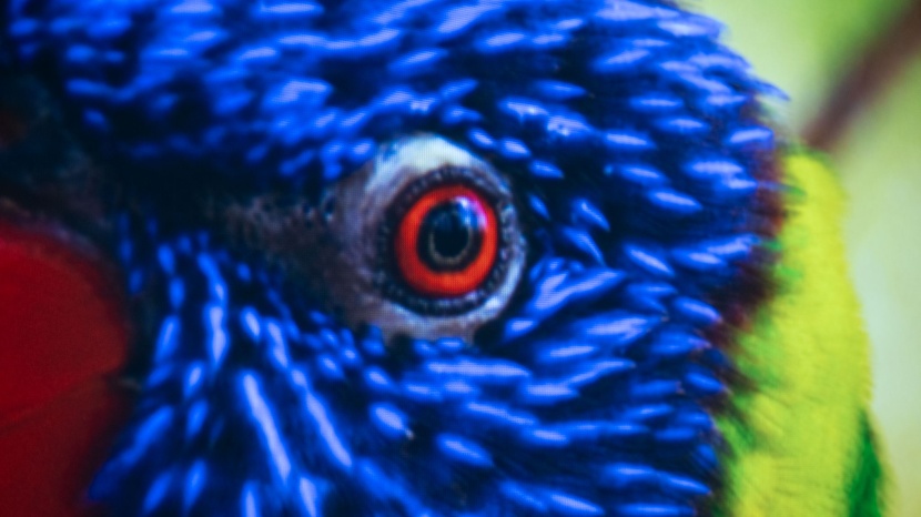 epson epiqvision flex co-fh02 - the epson epiqvision flex co-fh02 has good picture quality...