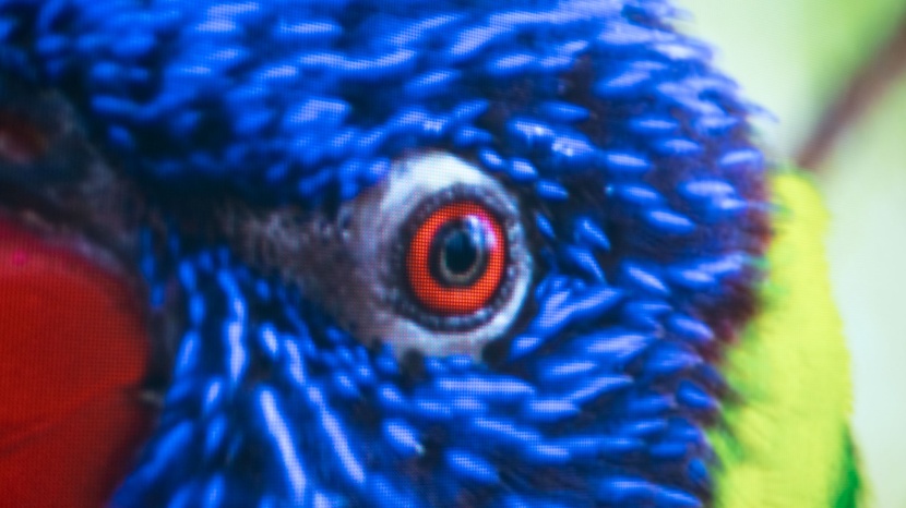 epson epiqvision flex co-w01 - although it lacks the vivid contrast of top performers, the epson...