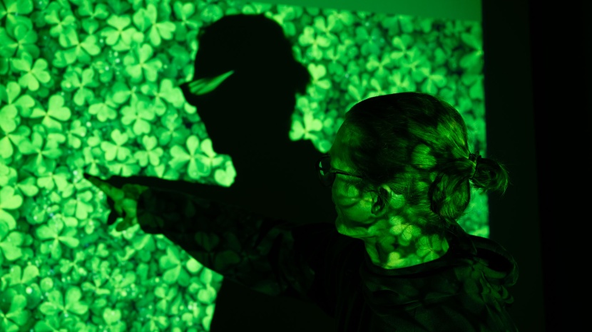 epson epiqvision flex co-w01 - the flex co-w01 has nice colors for a basic business-focused...