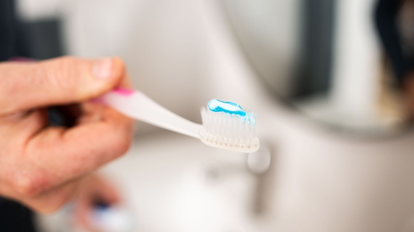 nimbus microfine xtra soft - the brush head is on the larger side, but still comfortable.