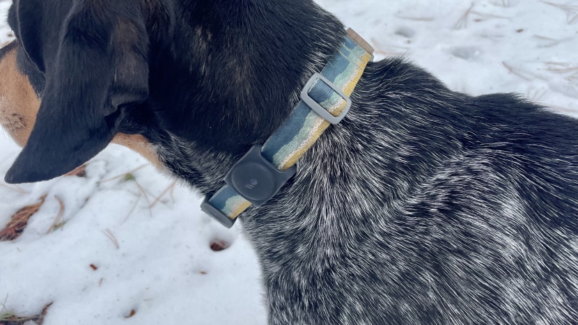 bluetooth tracker - the apple airtag has a low profile that&#039;s great for attaching to a...