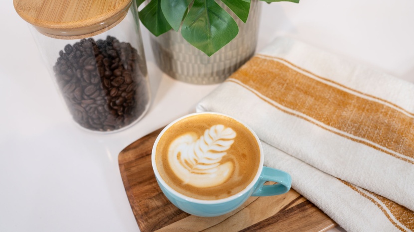 calphalon temp iq - decent cappuccinos, with perfect foam, in relatively short order.