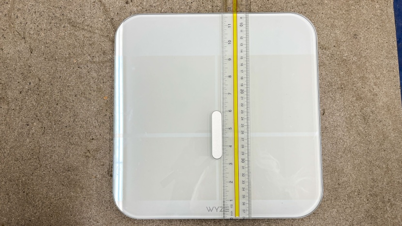 we measured the length and width of each scale.