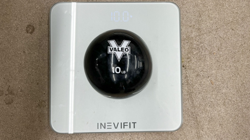 the 10 pound weight used in our testing.