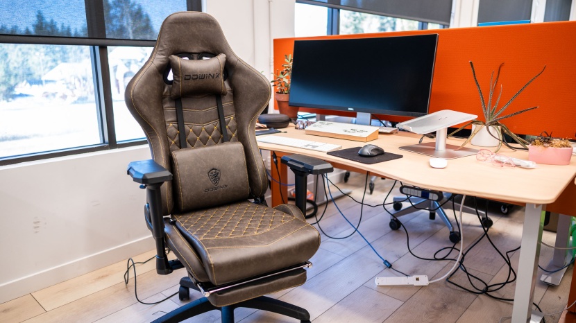 dowinx retro series ls-6689s - though the lumbar pillow protrudes a bit too much, the material is...