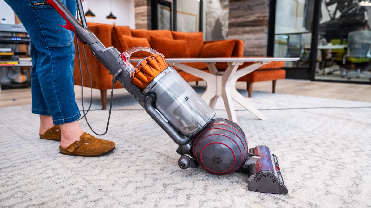 Dyson Ball Animal 3 Extra Review