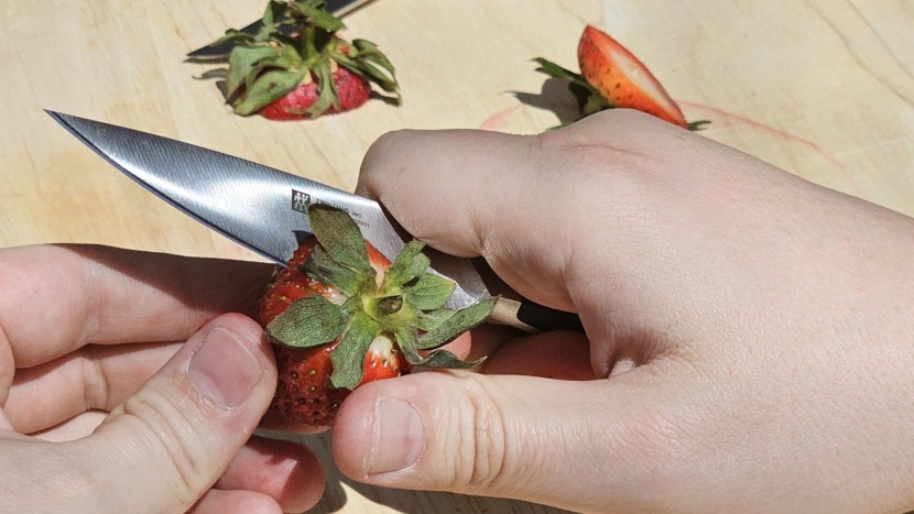 testing a paring knife by cutting "in the hand"