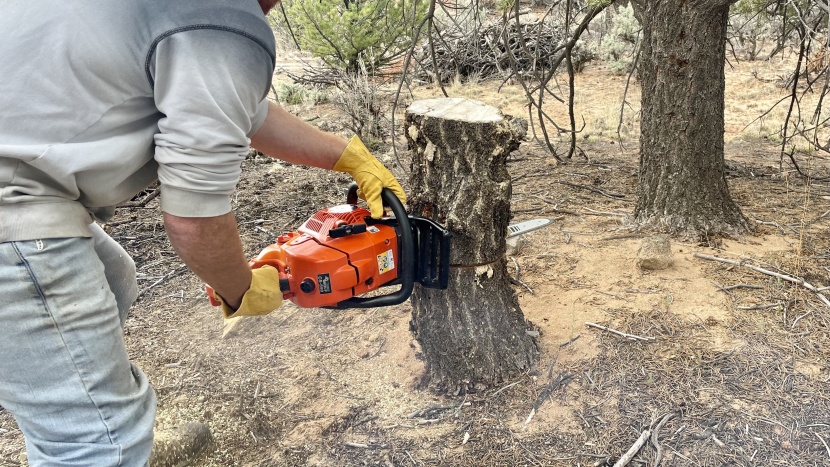 chainsaw - we found a lot of power in the echo cs 590&#039;s 59.8cc two-cycle motor.