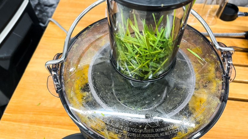 nutribullet juicer pro - the nutribullet really struggled with wheatgrass and had a very low...