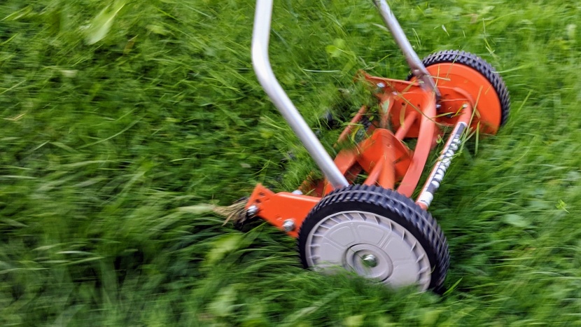 american lawn mower 1204-14 - the american lawn mower does well with shorter, consistently-mowed...