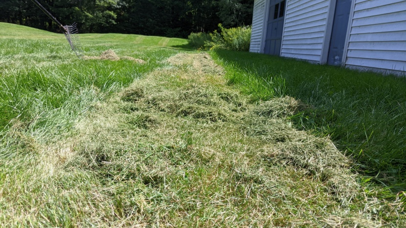 lawn mower - understanding your lawn&#039;s needs will help you choose the perfect...