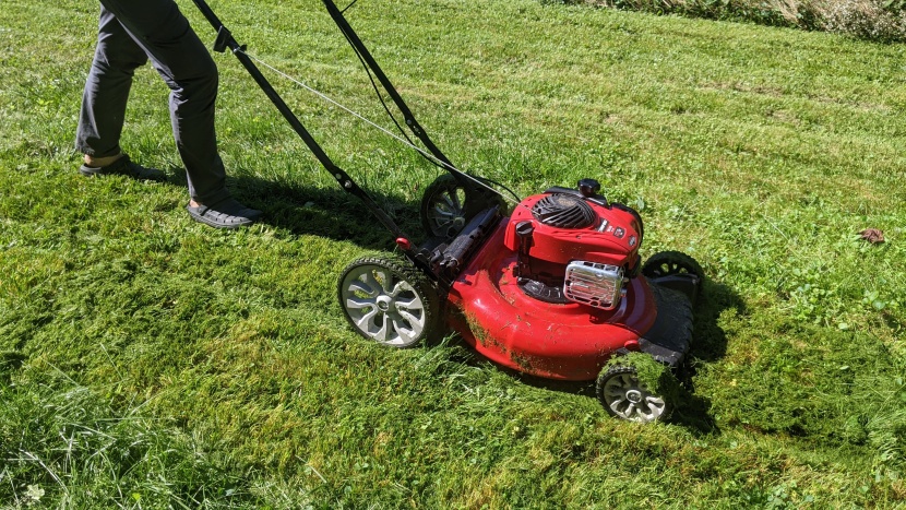 troy-bilt tb110 - this type of lawn mower has been keeping lawns in order for a very...