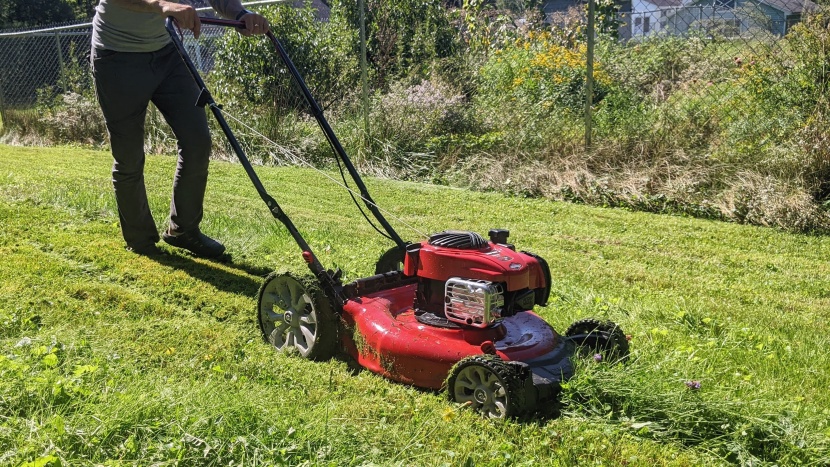 lawn mower - we let sections of the test yard get especially unruly to...