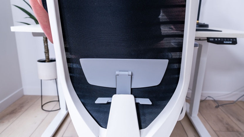 branch ergonomic - the lumbar support was not as adjustable as we tend to see in more...