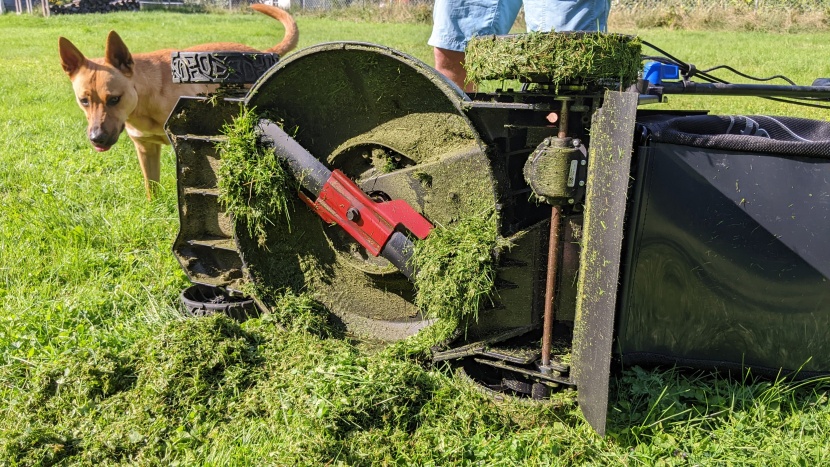 lawn mower - mowers with traditional decks will clog from time to time. some more...