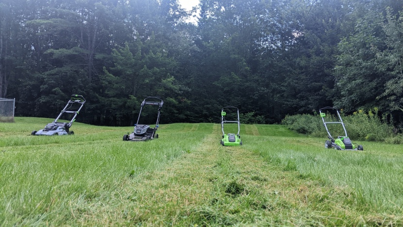lawn mower - some lawn mowers are far better at mulching than others.
