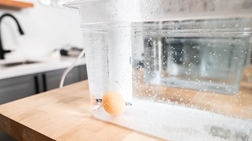 breville joule turbo - there are many ways to cook an egg. a sous vide should cook it to...