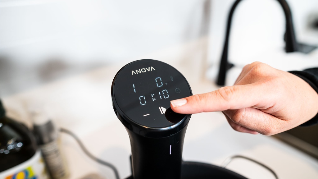 anova culinary precision cooker nano 3.0 - the anova nano is an all-around solid buy, and a reliable sous vide.